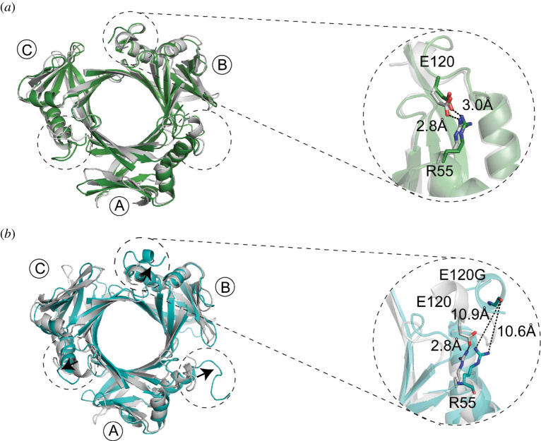 Figure 7. 