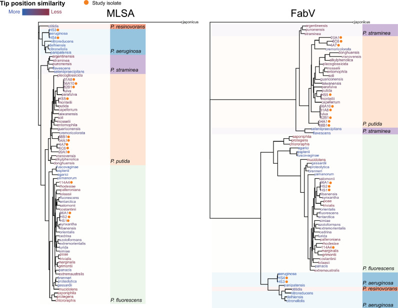 FIG 4