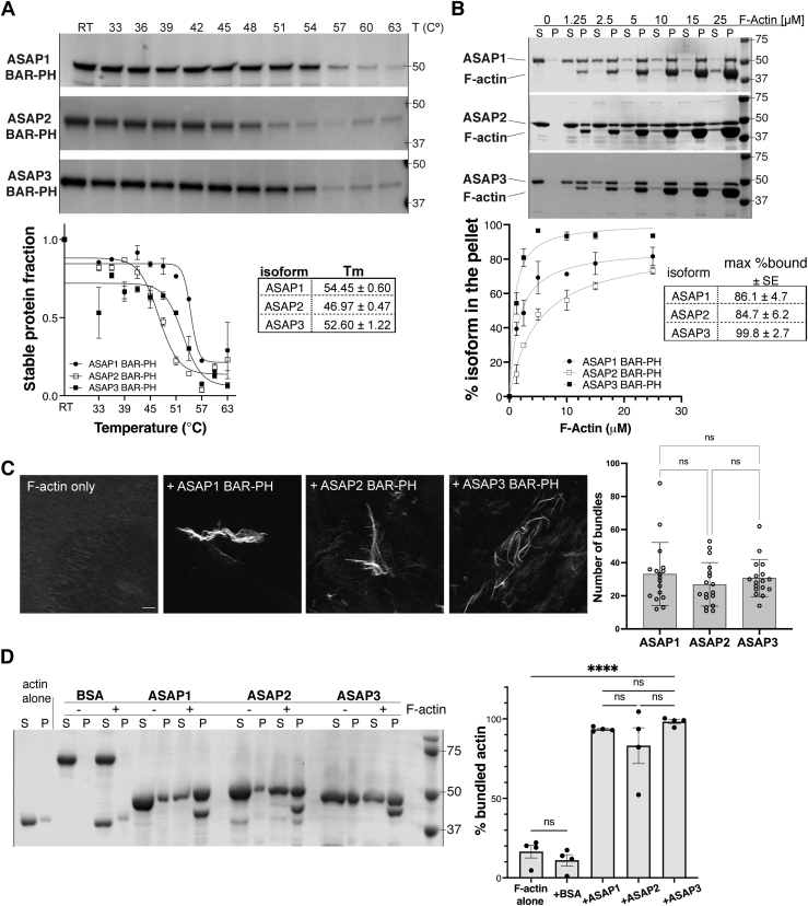 Figure 6