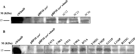 FIG. 5.