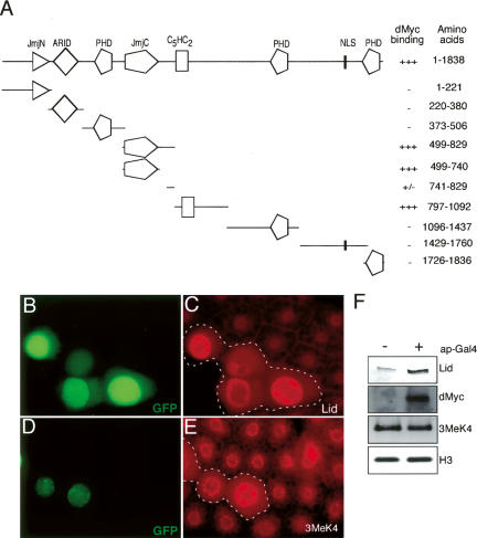 Figure 7.