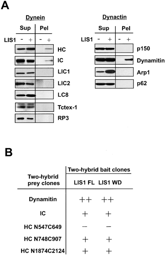 Figure. 6.