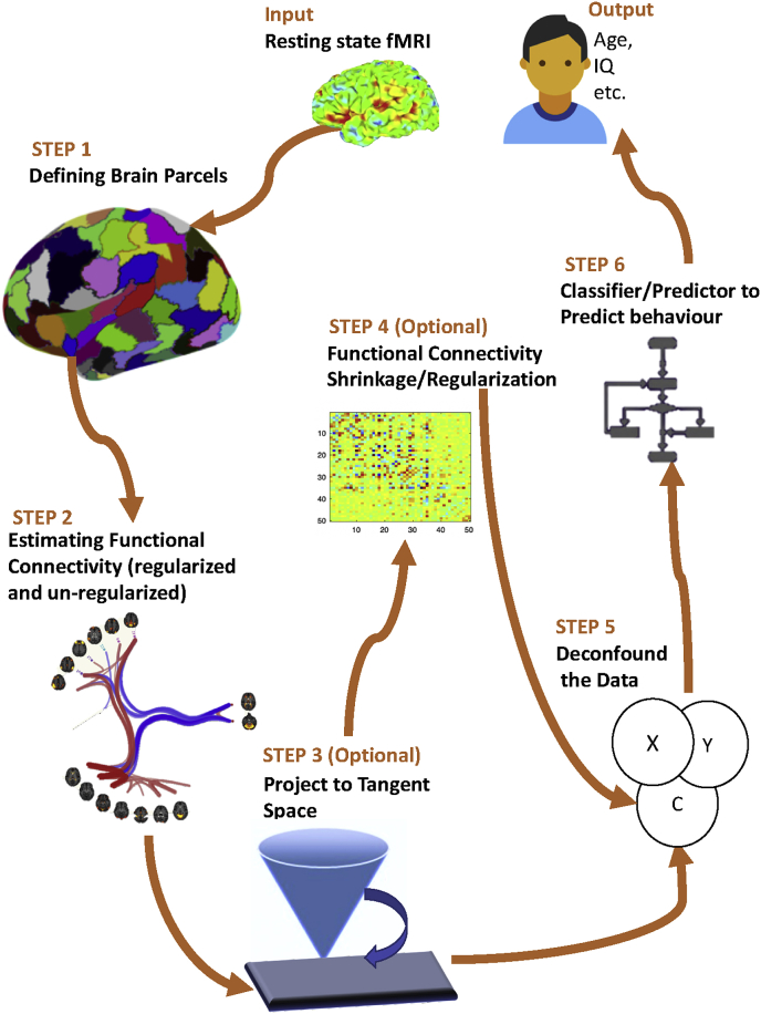 Fig. 1