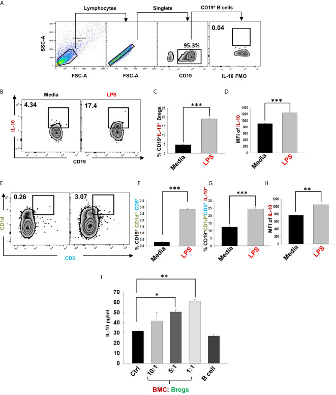 Figure 5