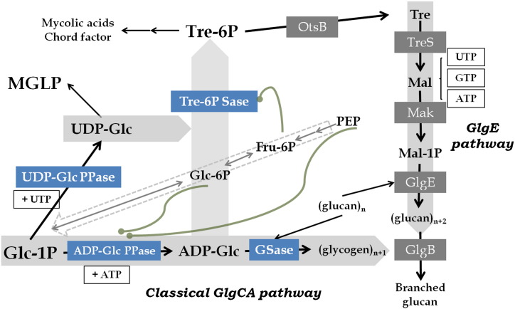 Fig. 5