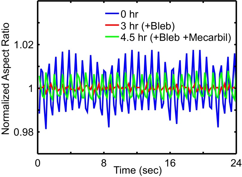 Fig. S6.