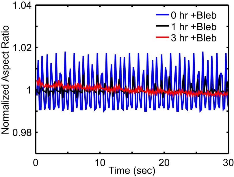 Fig. S5.