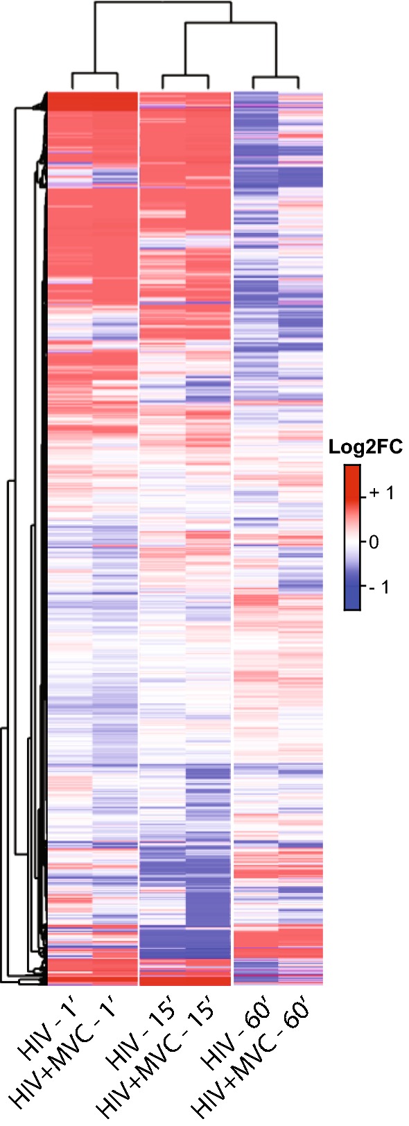 Fig. 4