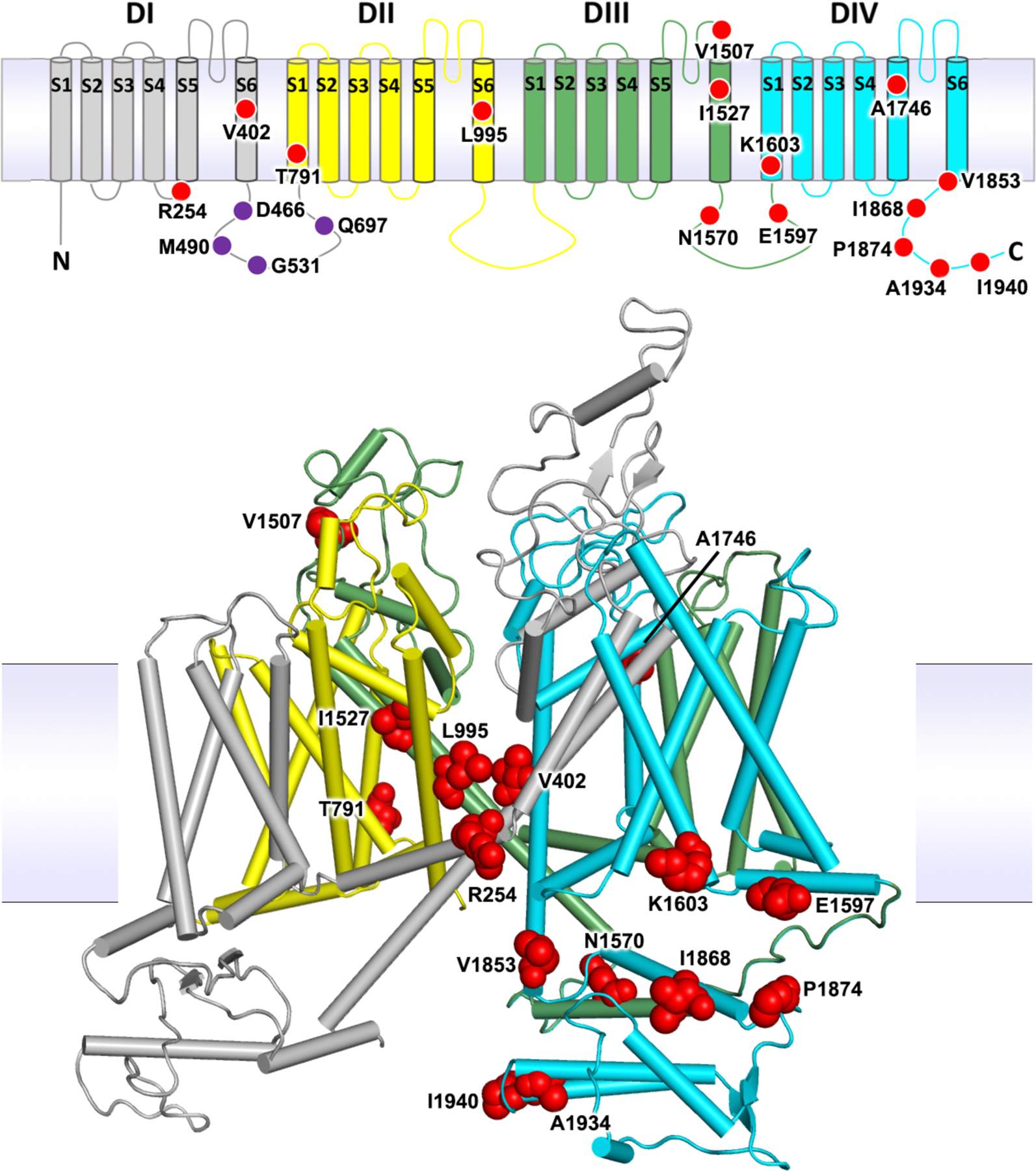 Figure 1.