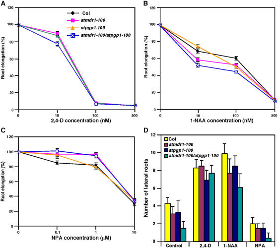 Figure 5.