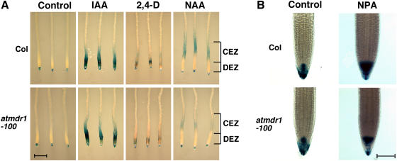 Figure 6.