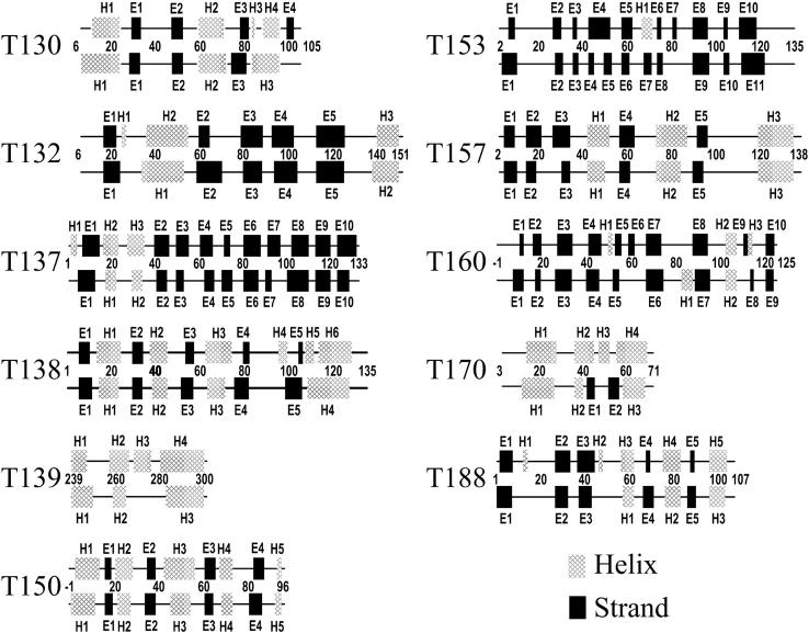 FIGURE 11