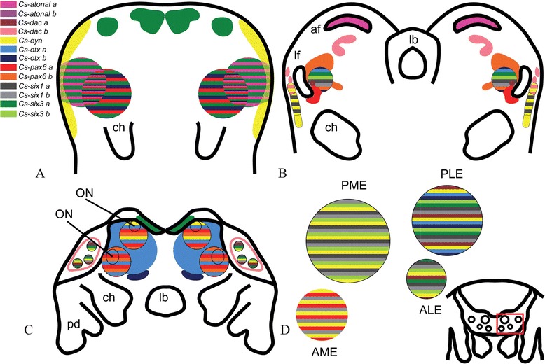 Figure 6