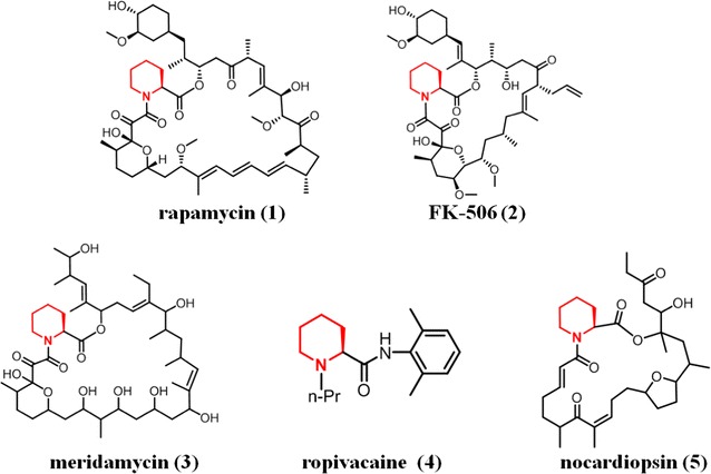 Fig. 1