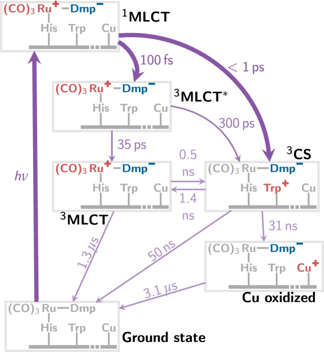 Fig. 2