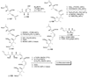Scheme 23