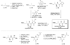 Scheme 12
