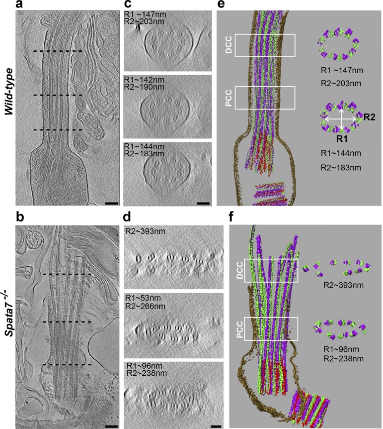 Figure 4.