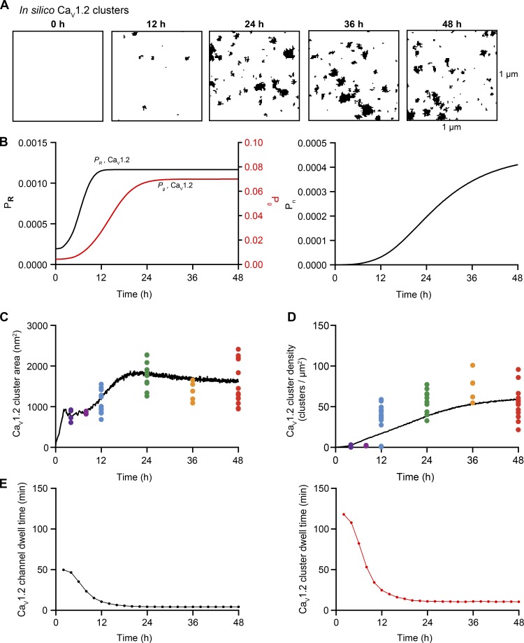 Figure 10.