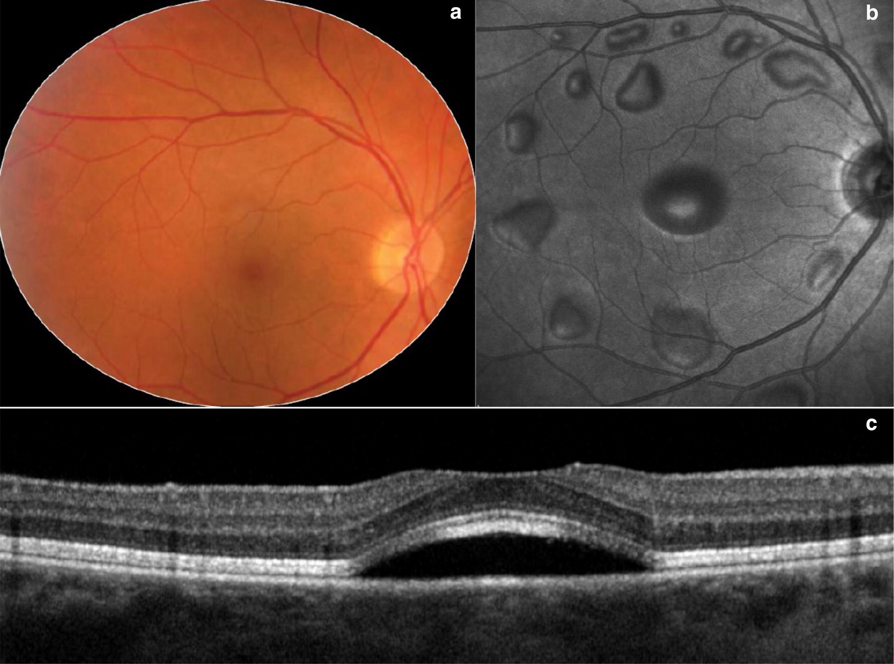 Fig. 7