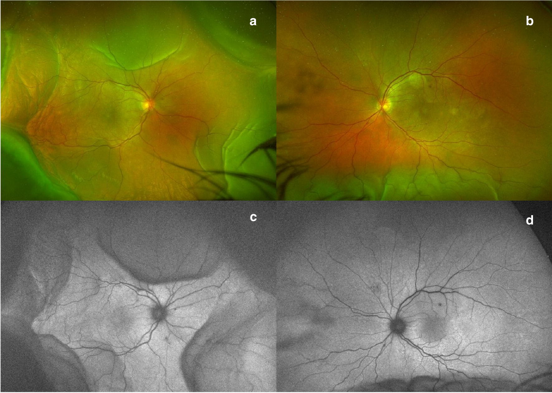 Fig. 8