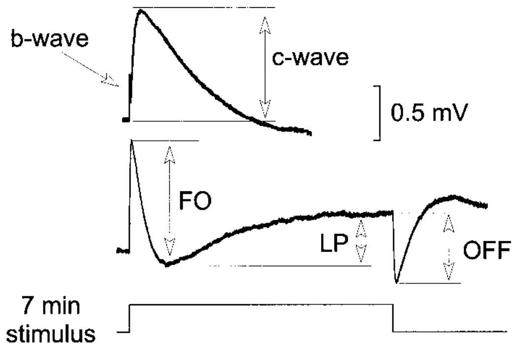 FIG. 1