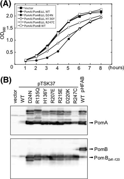 Fig 5