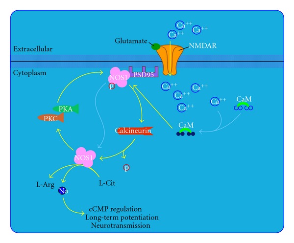 Figure 6