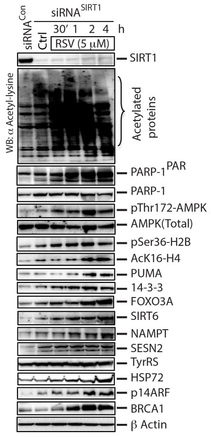 Extended Data Figure 7