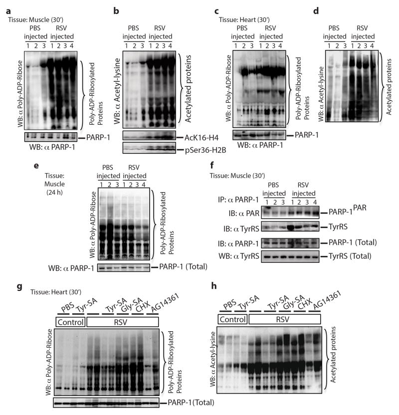 Extended Data Figure 9