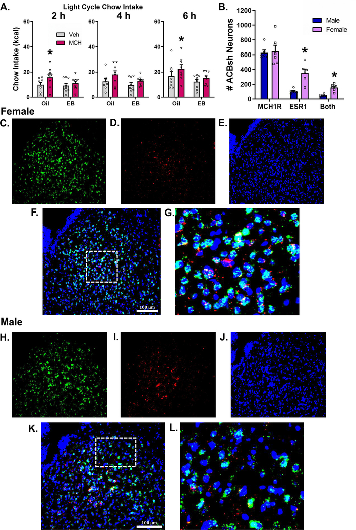 Figure 5: