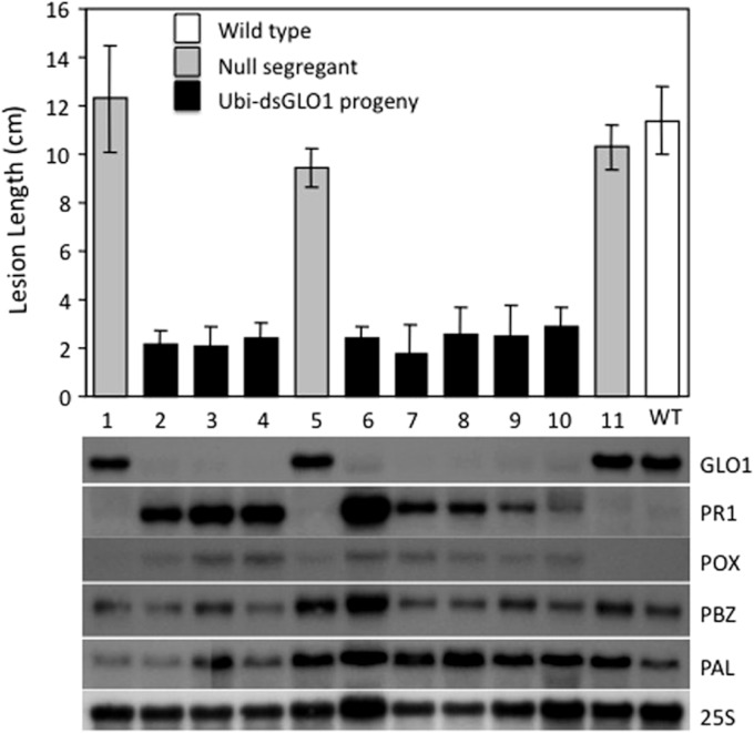 Figure 3