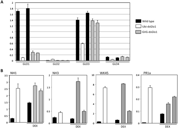 Figure 6