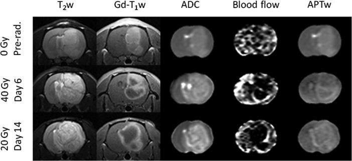 Fig. 8.