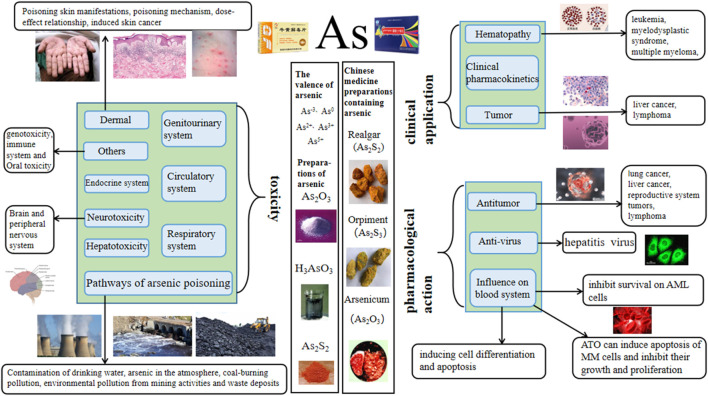 graphic file with name FPHAR_fphar-2024-1338725_wc_abs.jpg