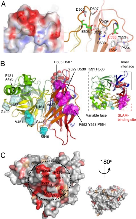 Fig. 3.