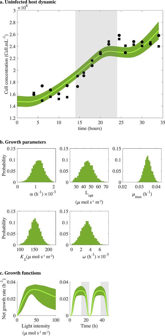 FIG 2