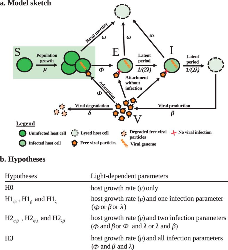 FIG 3