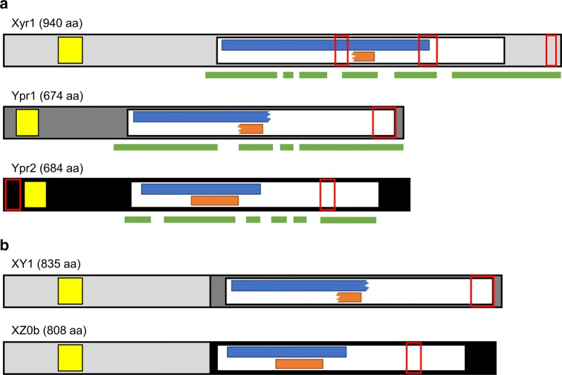 Fig. 9