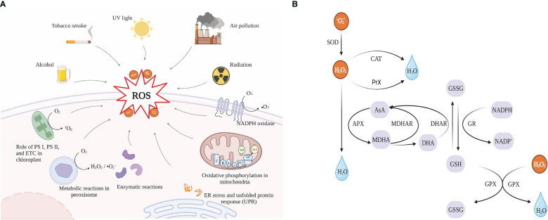 Figure 6