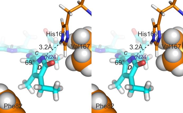 FIGURE 4.