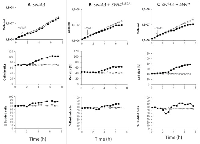 Figure 7.