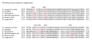 Figure 2—figure supplement 1.