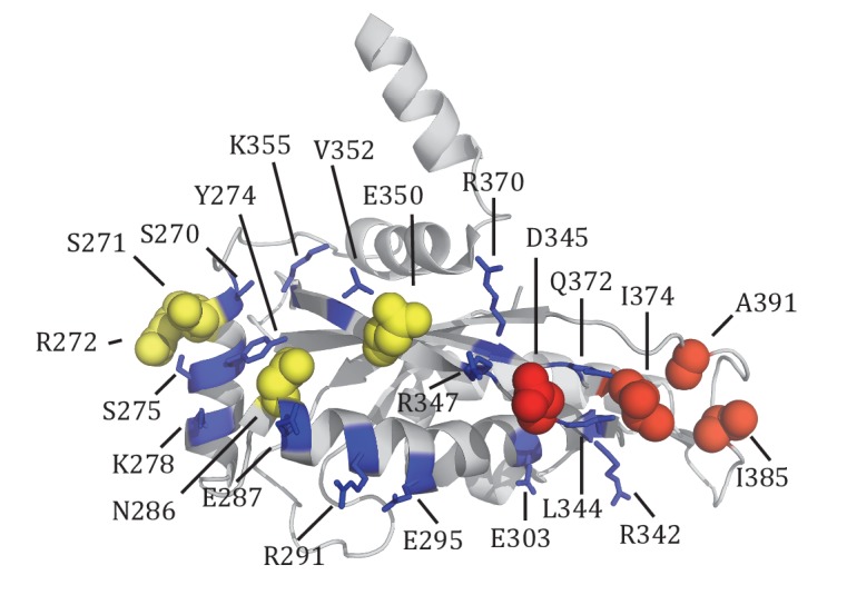 Figure 3—figure supplement 1.