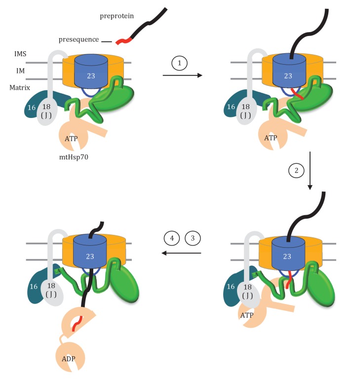 Figure 9.