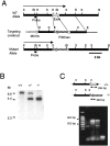 Fig. 1.