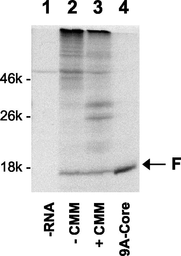 FIG. 4.