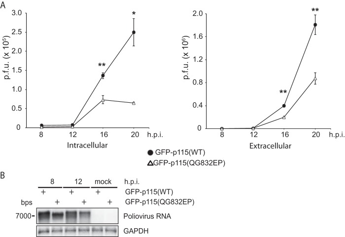 FIG 13