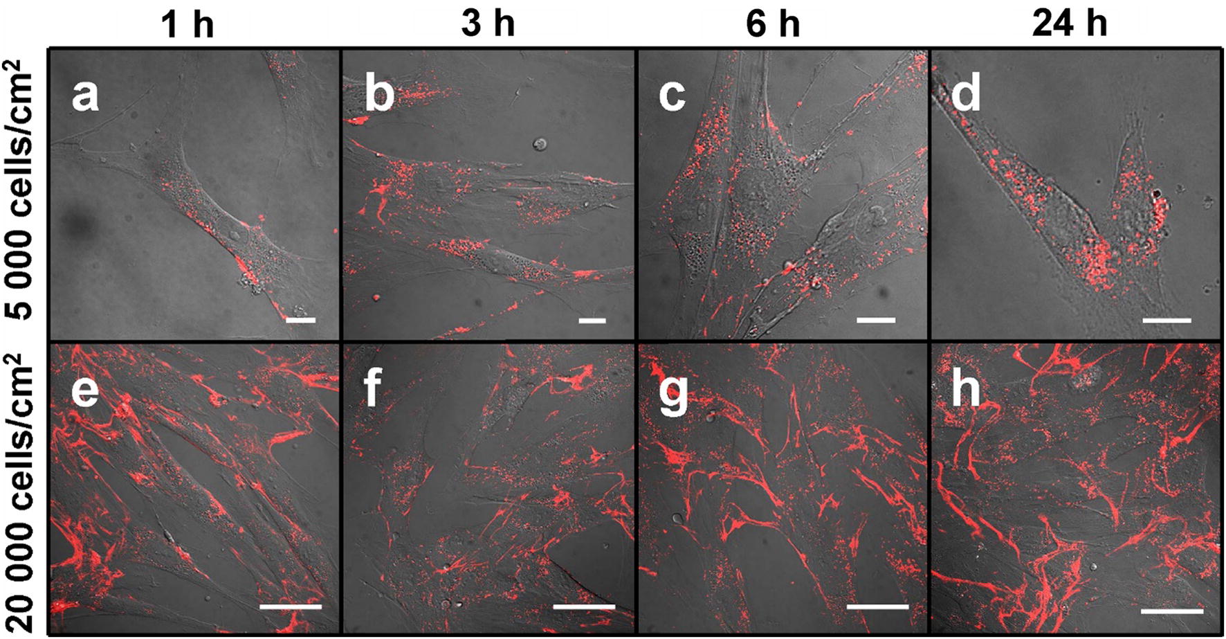 Fig. 3