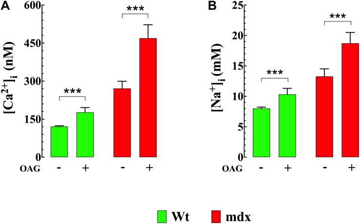 FIGURE 3